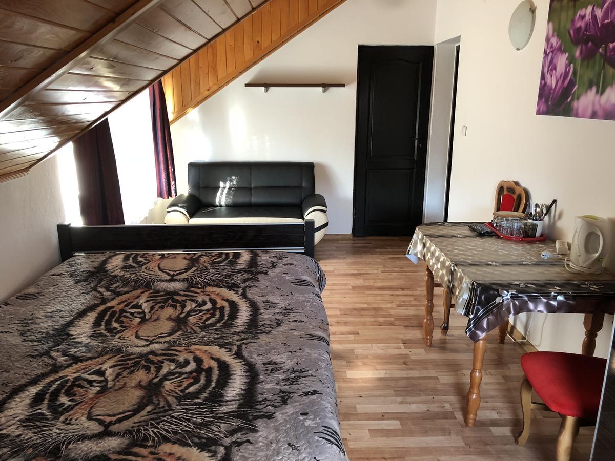 Agata Apartment Wisla Ngoại thất bức ảnh